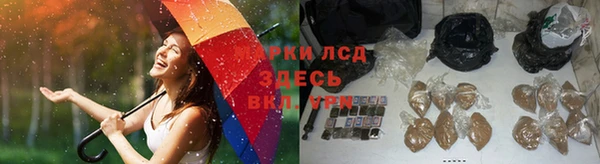 СК Вяземский