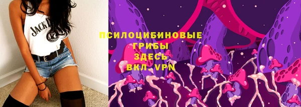 apvp Володарск