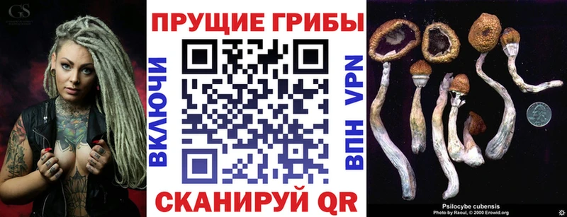 Купить где  Могоча  Псилоцибиновые грибы ЛСД 