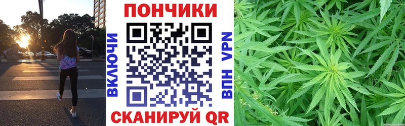 Купить закладки  Могоча  Конопля Amnesia 